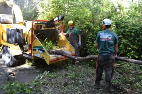 tree services Natural Steps